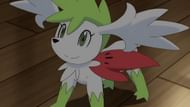Shaymin (Sky Forme) in the anime (Image via TPC)